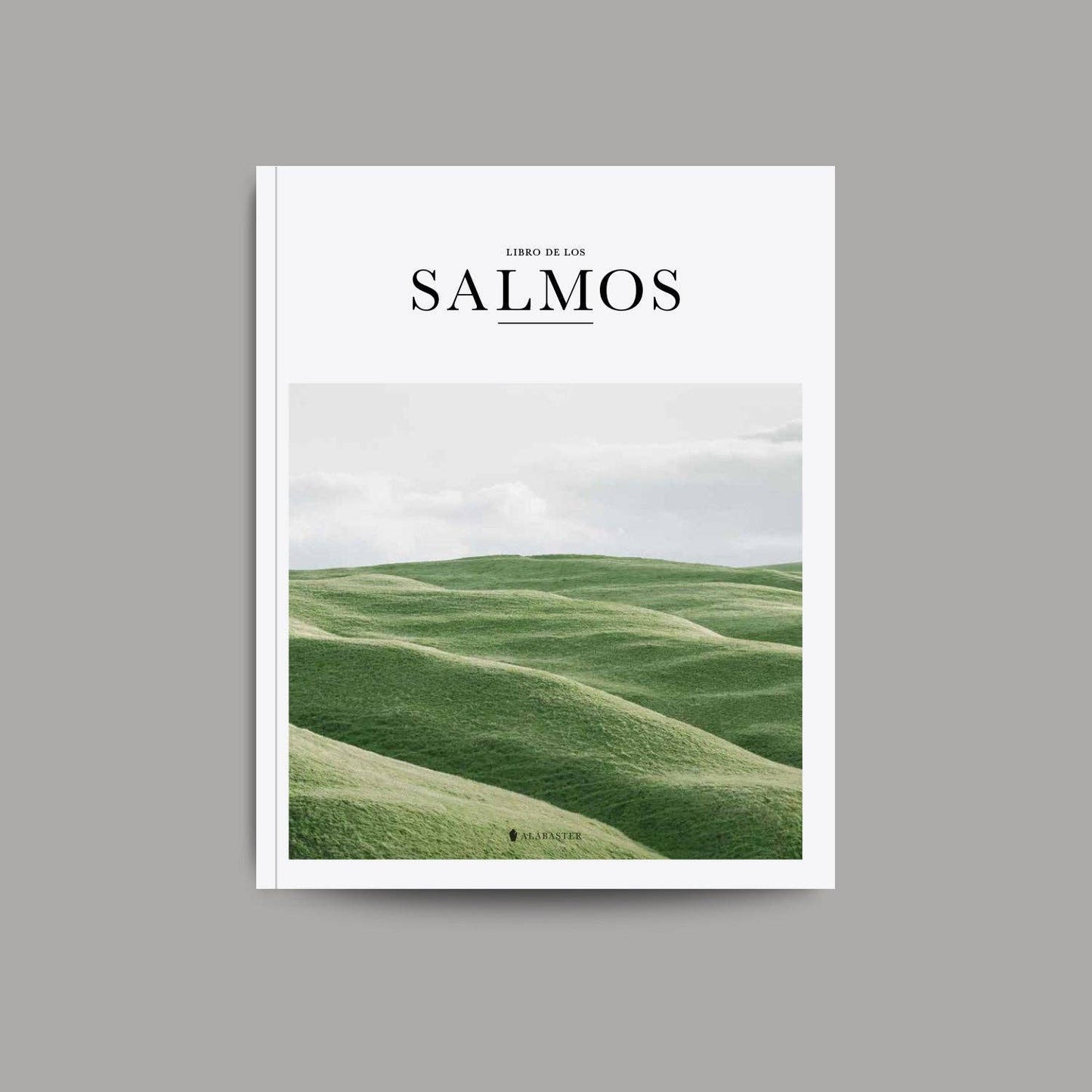 The Book of Psalms - Spanish Version (Libro De Los Salmos)
