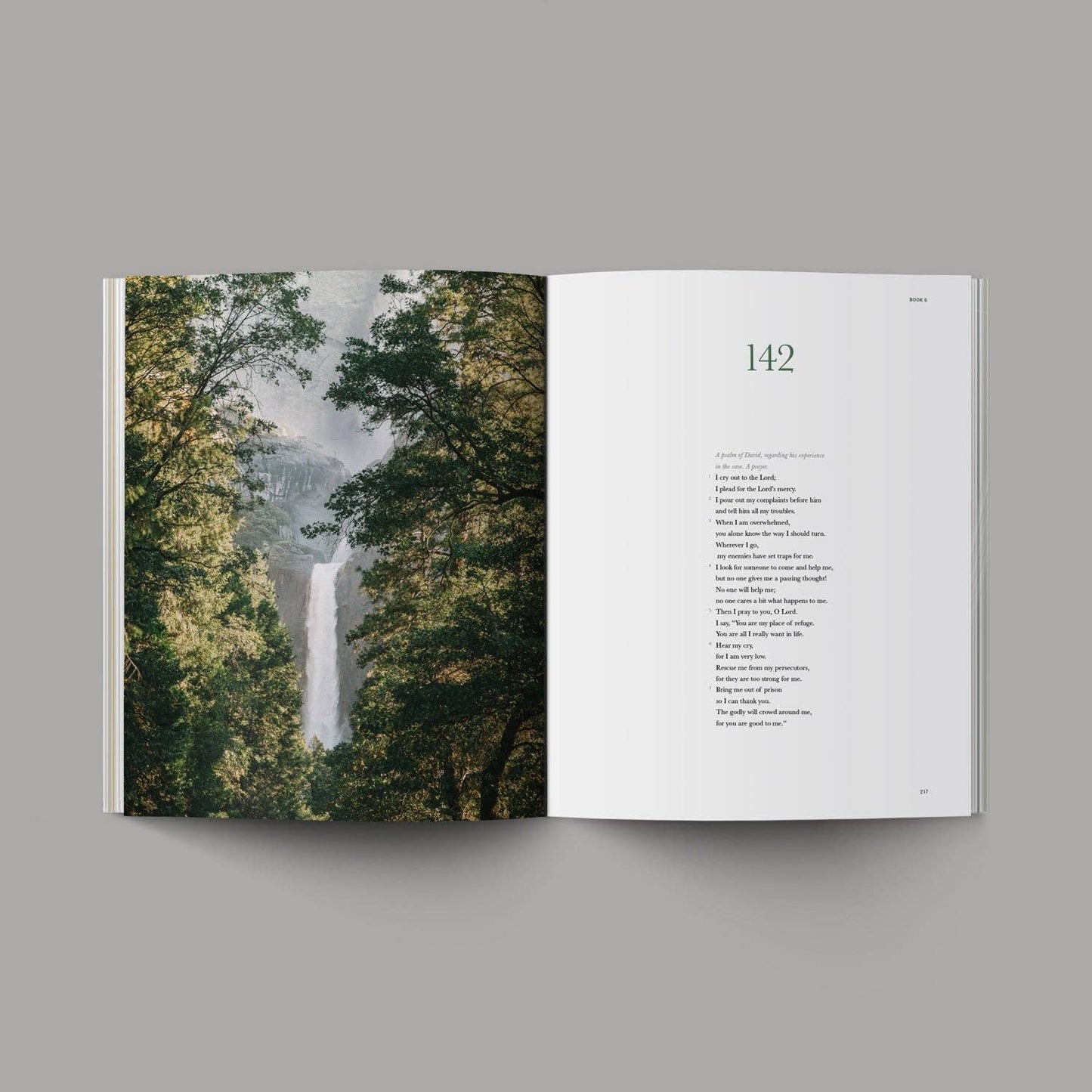 The Book of Psalms - Spanish Version (Libro De Los Salmos)