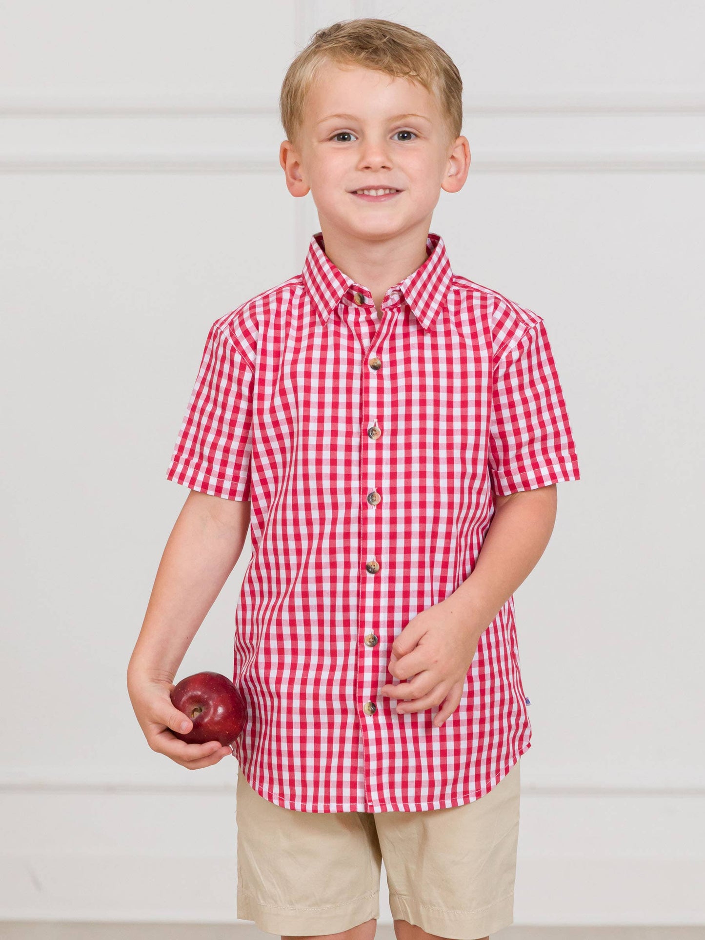 Boys Classic Red Gingham Short Sleeve Button Down Shirt