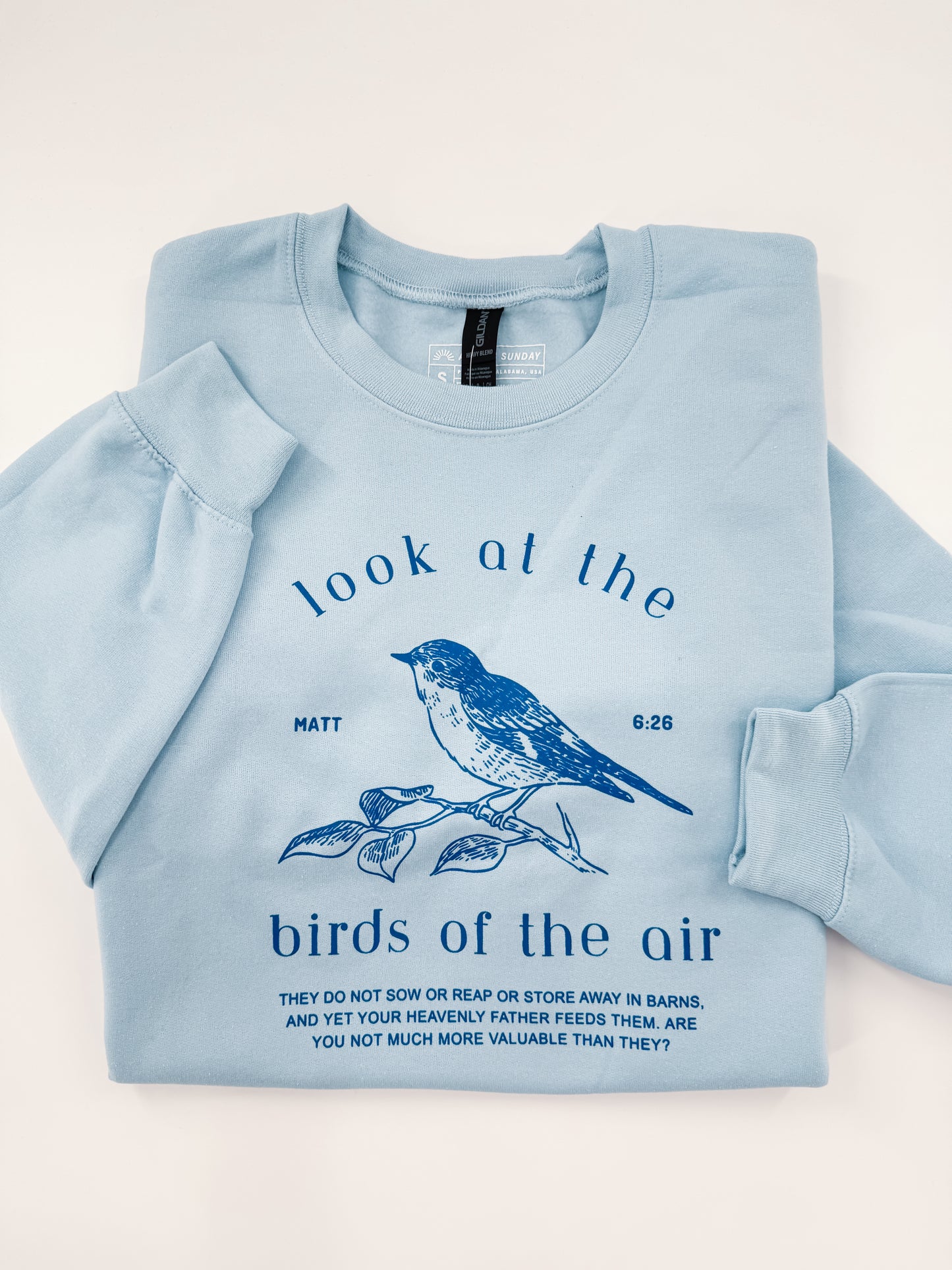 Birds of the Air Sweatshirt