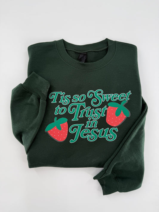 Kids - Tis so Sweet to Trust in Jesus Sweatshirt